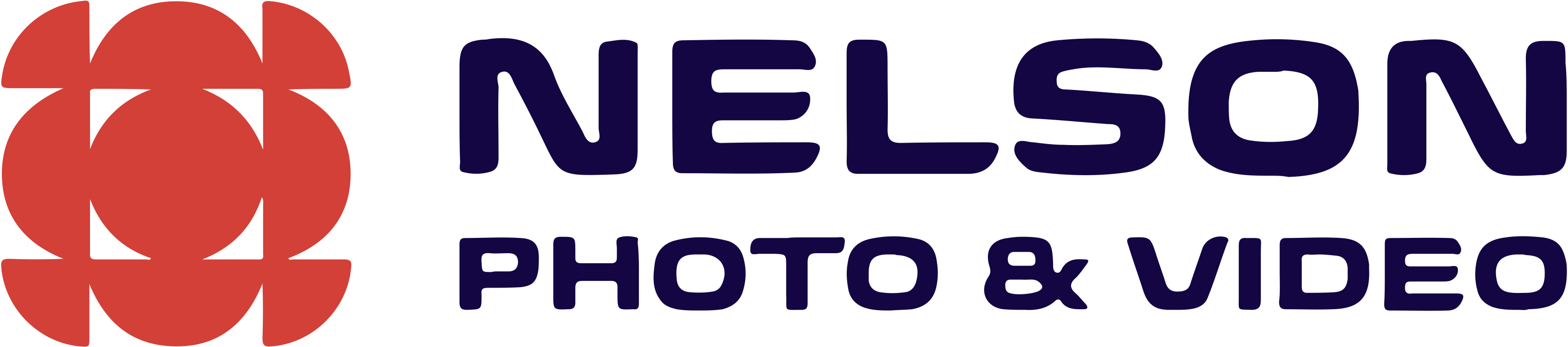 nelson-photo-video-logo